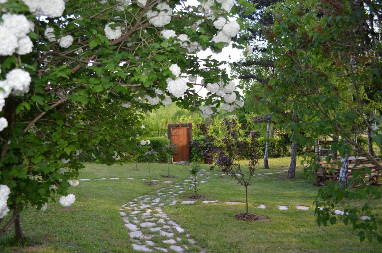Vila Davidovic-Fruska Gora Mandelos Exteriör bild