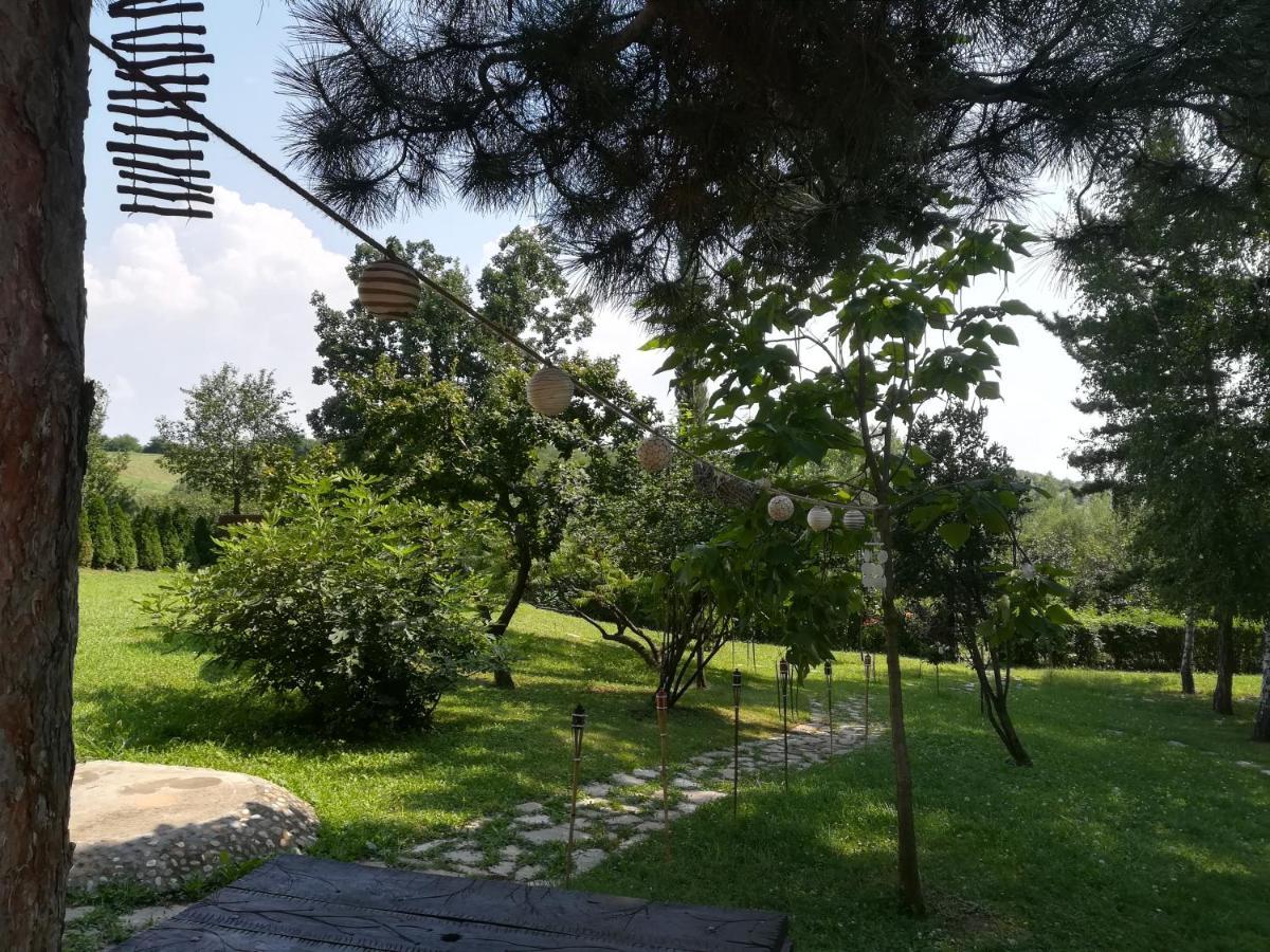 Vila Davidovic-Fruska Gora Mandelos Exteriör bild