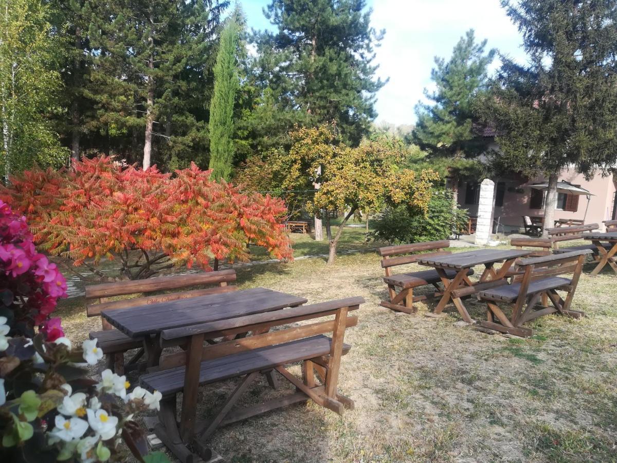 Vila Davidovic-Fruska Gora Mandelos Exteriör bild