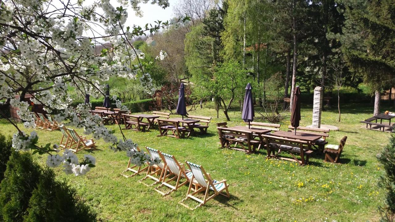 Vila Davidovic-Fruska Gora Mandelos Exteriör bild