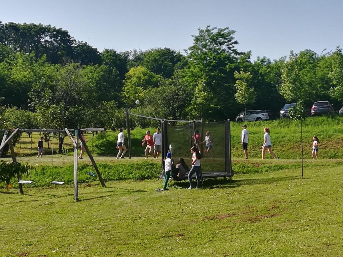 Vila Davidovic-Fruska Gora Mandelos Exteriör bild