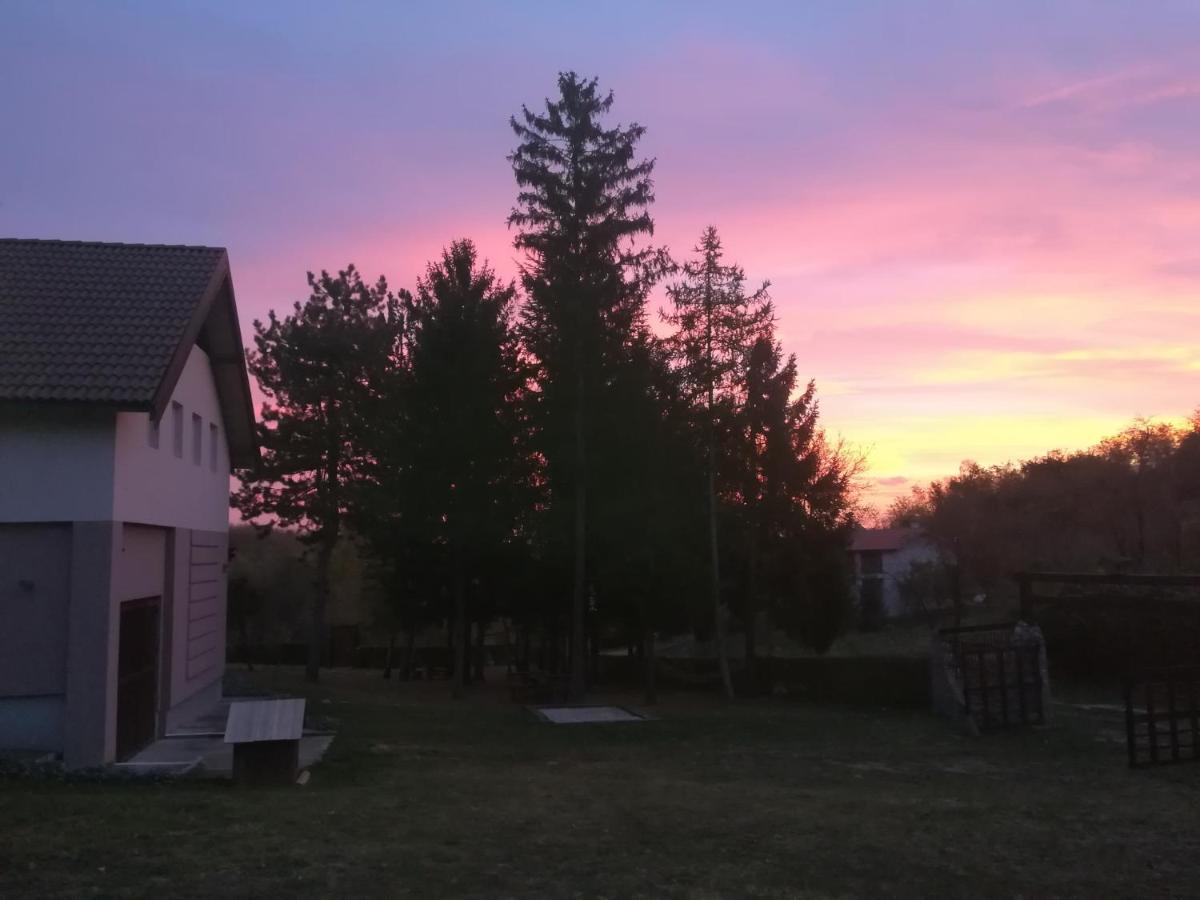 Vila Davidovic-Fruska Gora Mandelos Exteriör bild