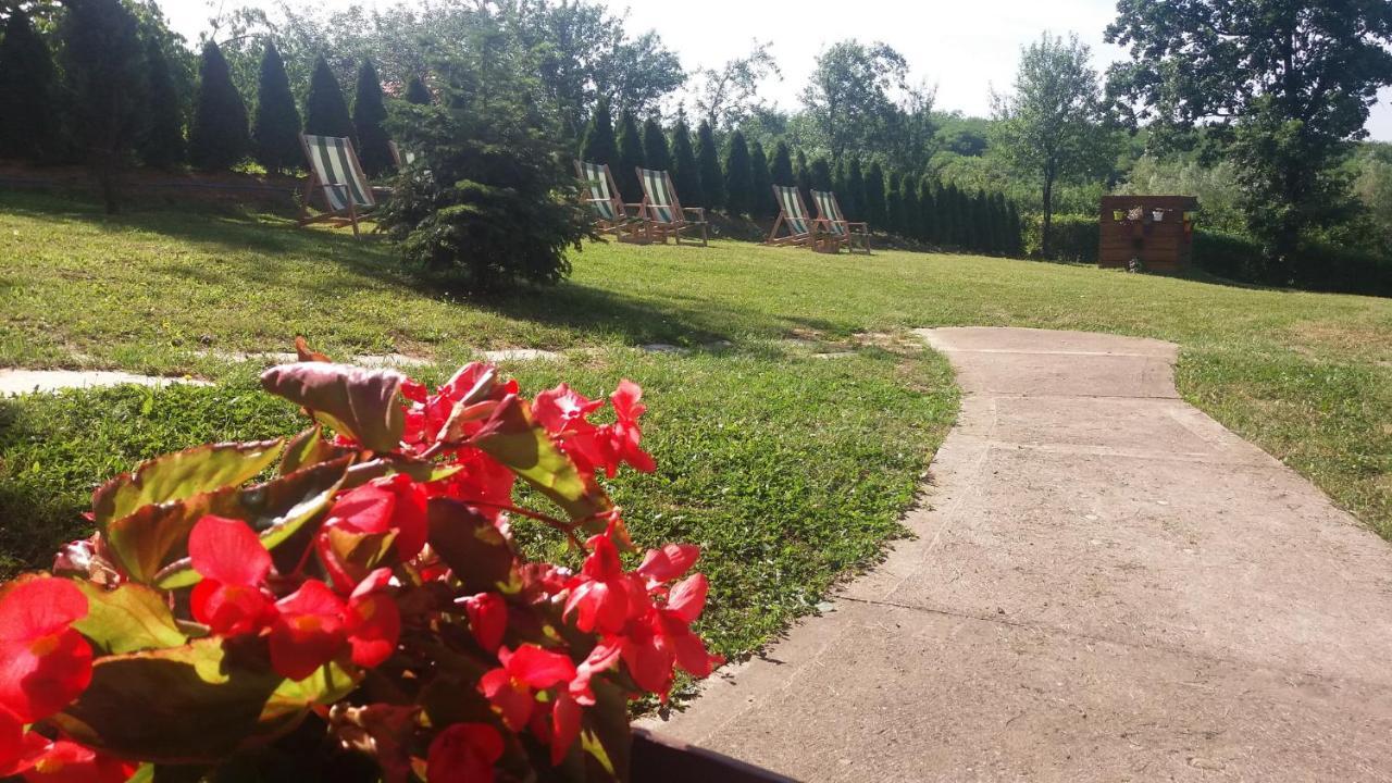 Vila Davidovic-Fruska Gora Mandelos Exteriör bild