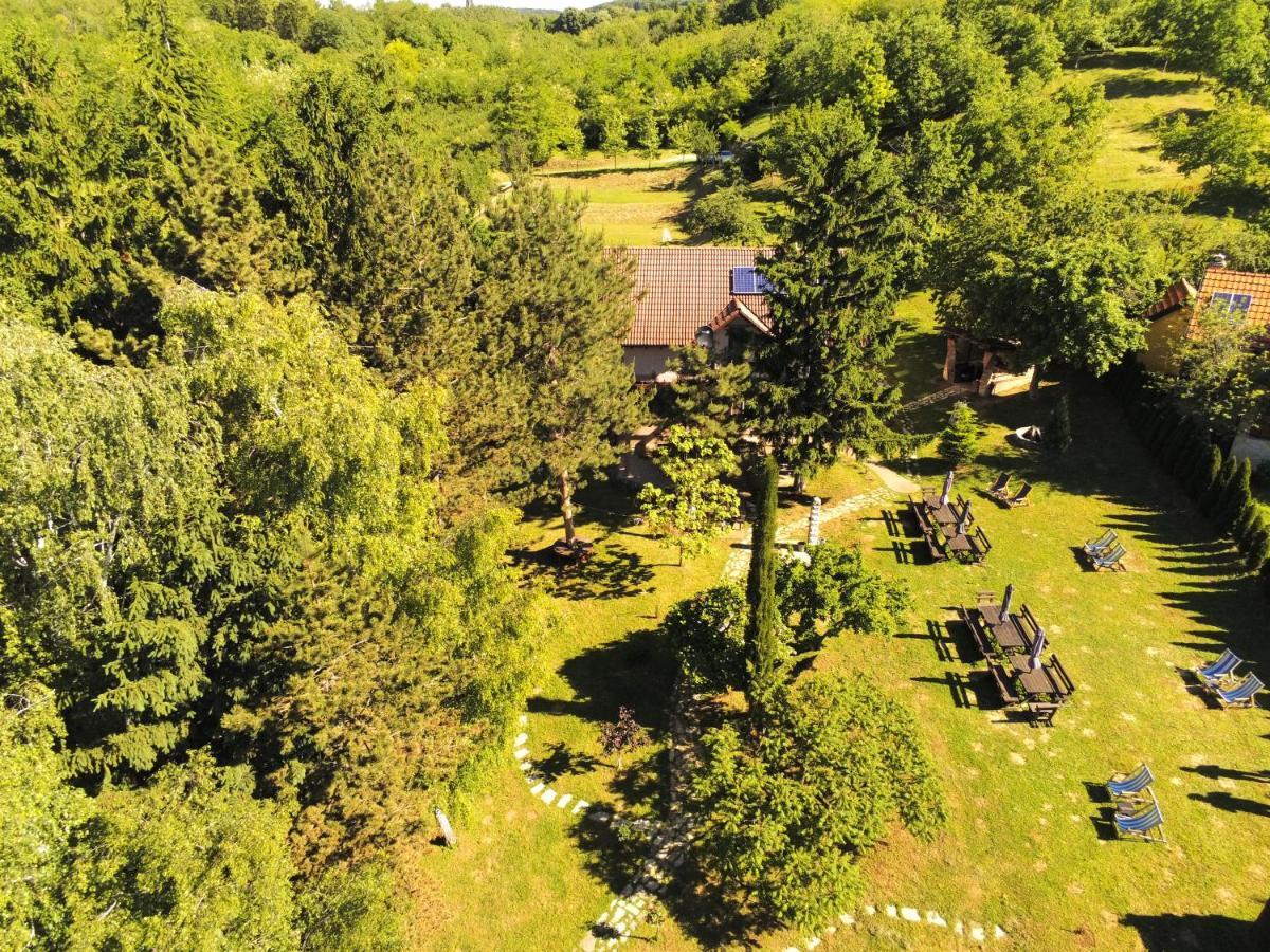 Vila Davidovic-Fruska Gora Mandelos Exteriör bild