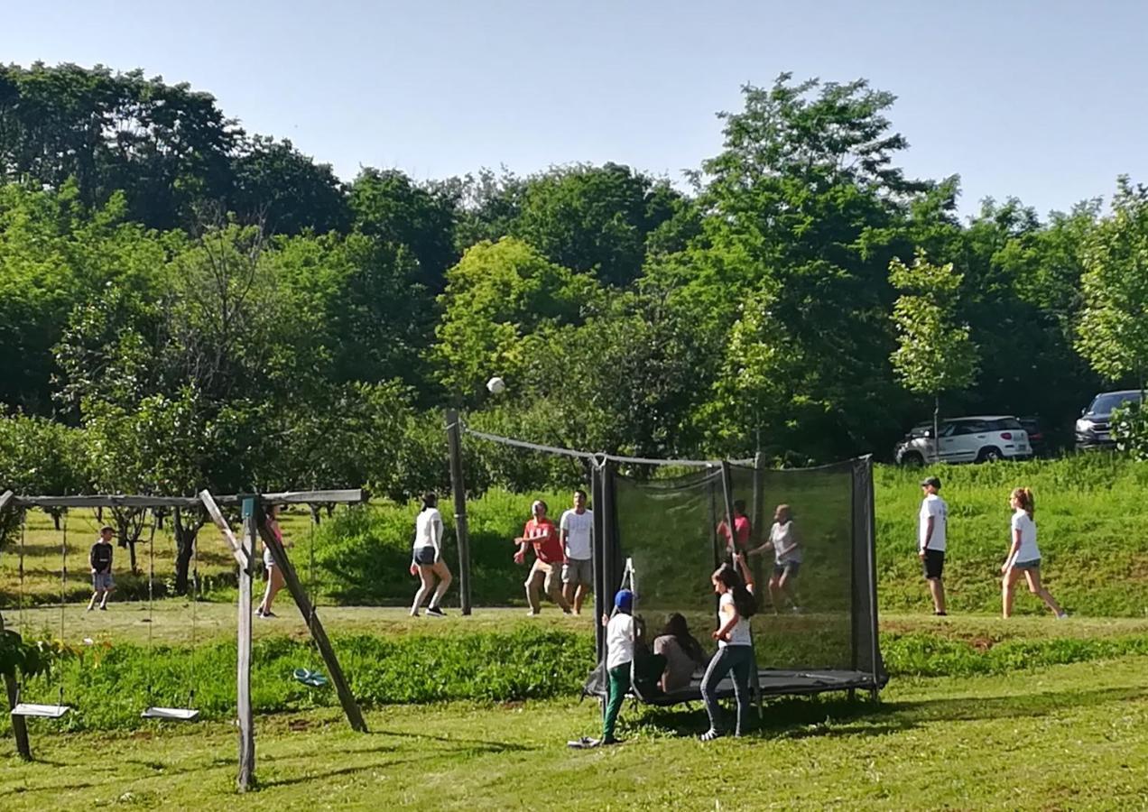 Vila Davidovic-Fruska Gora Mandelos Exteriör bild