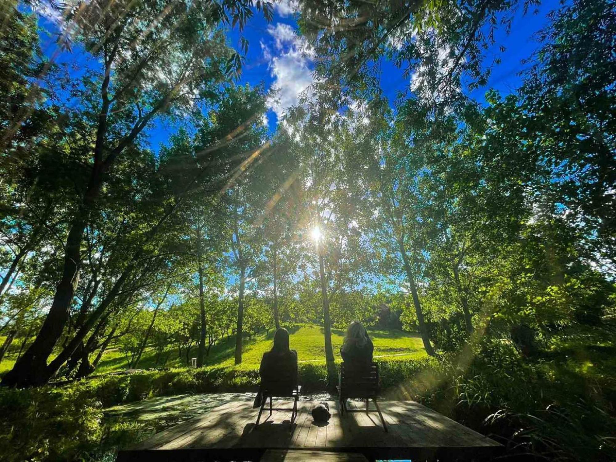 Vila Davidovic-Fruska Gora Mandelos Exteriör bild