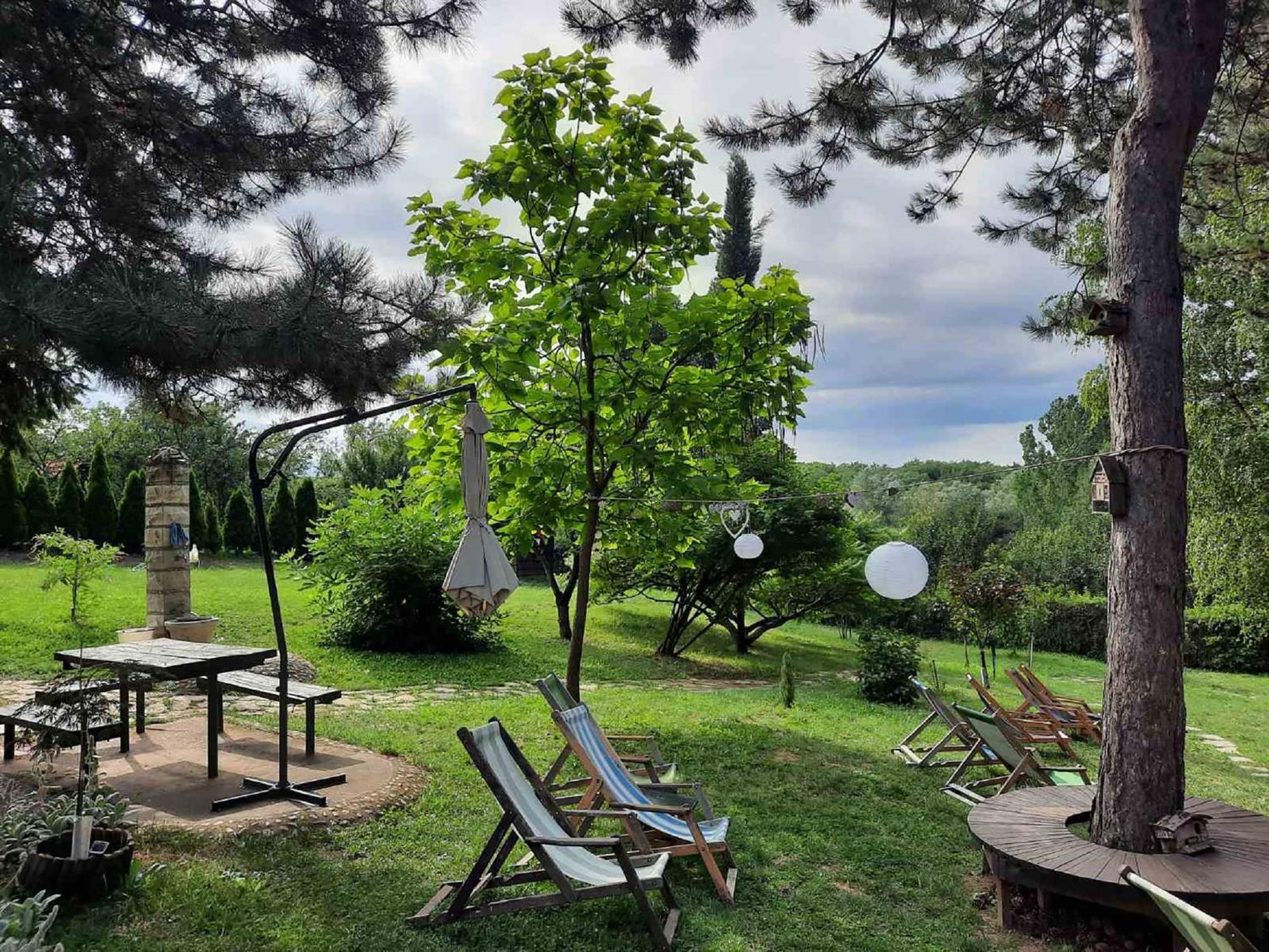 Vila Davidovic-Fruska Gora Mandelos Exteriör bild