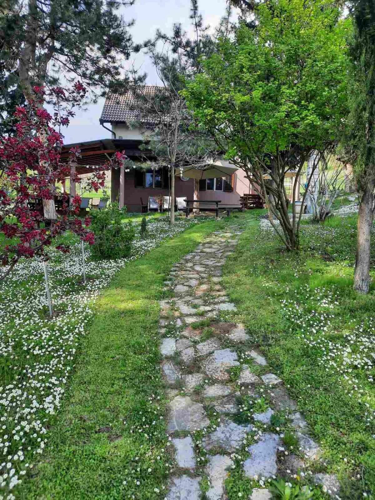 Vila Davidovic-Fruska Gora Mandelos Exteriör bild