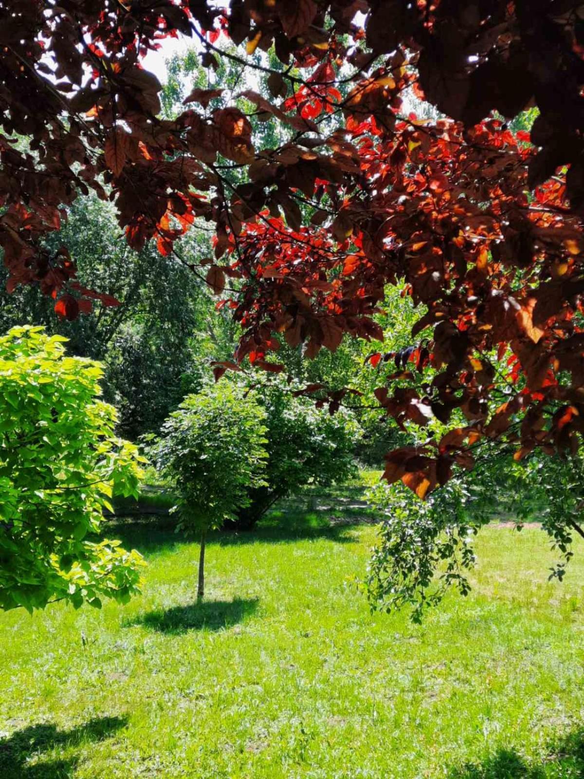Vila Davidovic-Fruska Gora Mandelos Exteriör bild