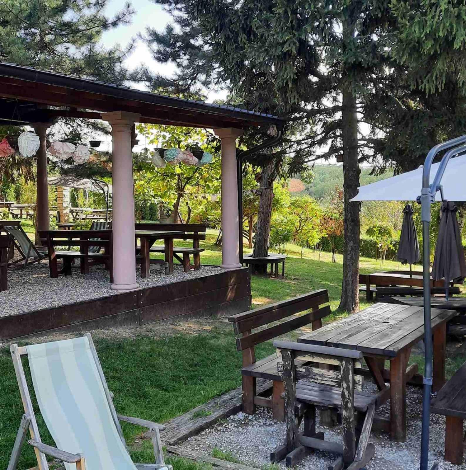 Vila Davidovic-Fruska Gora Mandelos Exteriör bild