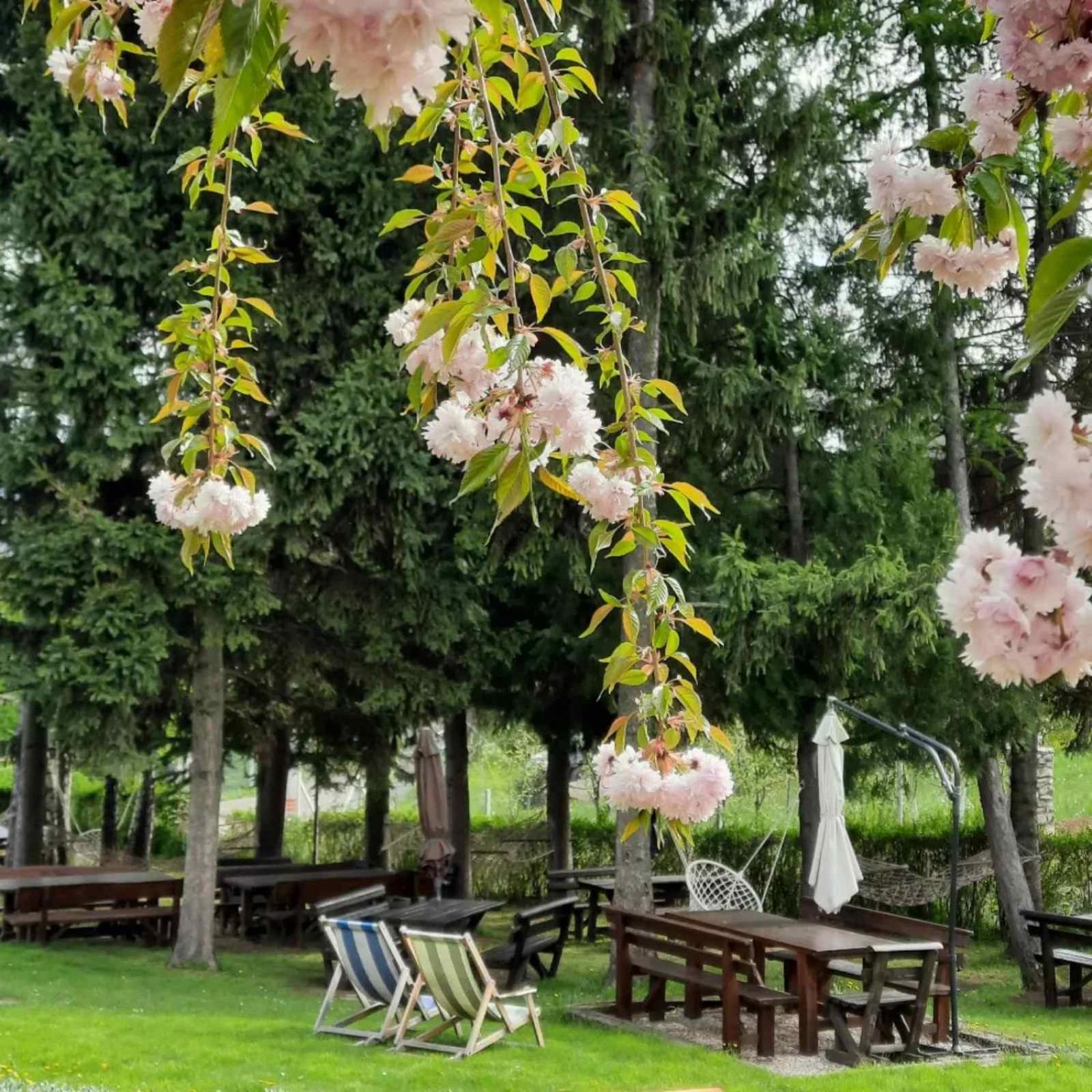 Vila Davidovic-Fruska Gora Mandelos Exteriör bild