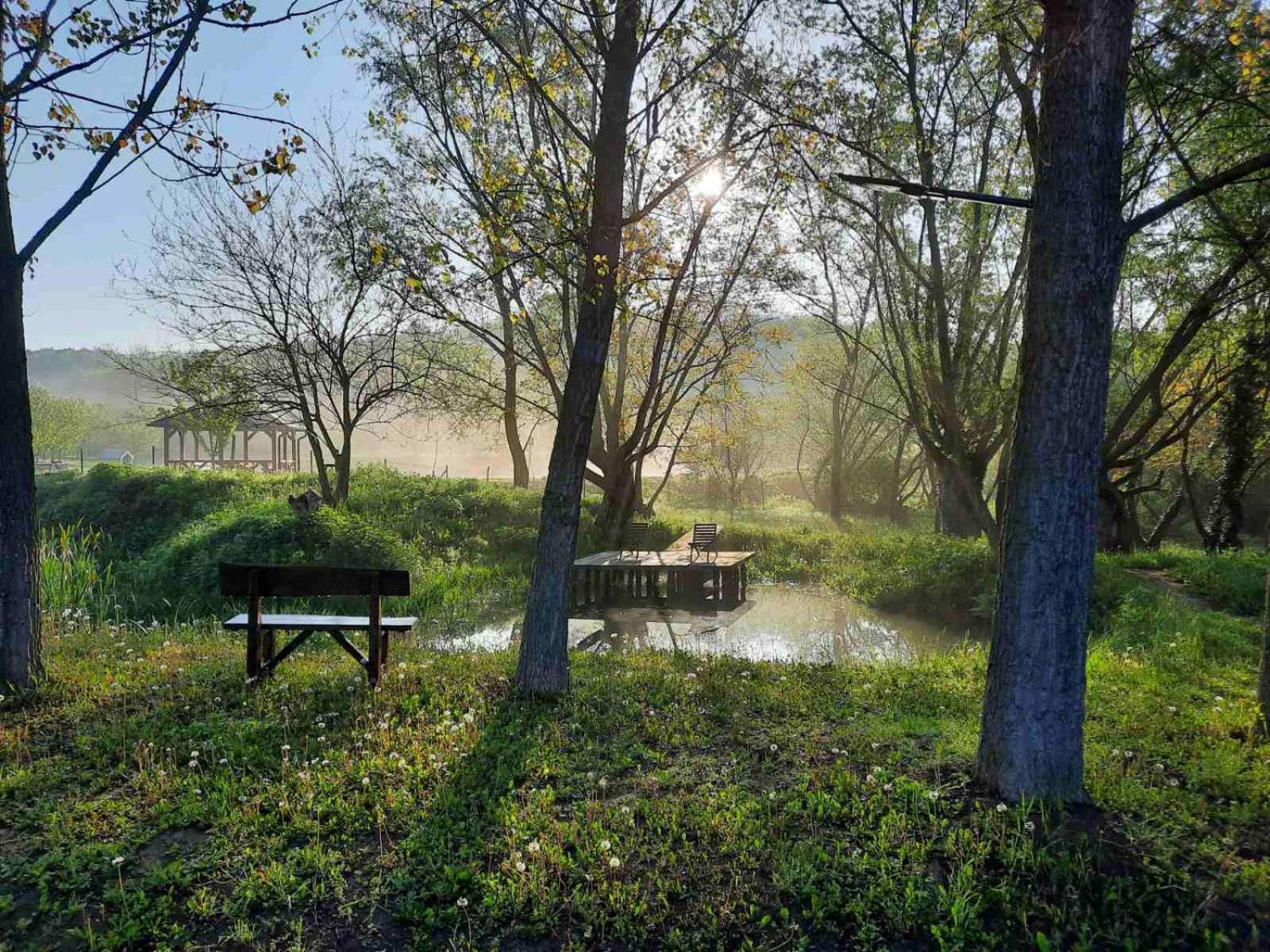Vila Davidovic-Fruska Gora Mandelos Exteriör bild