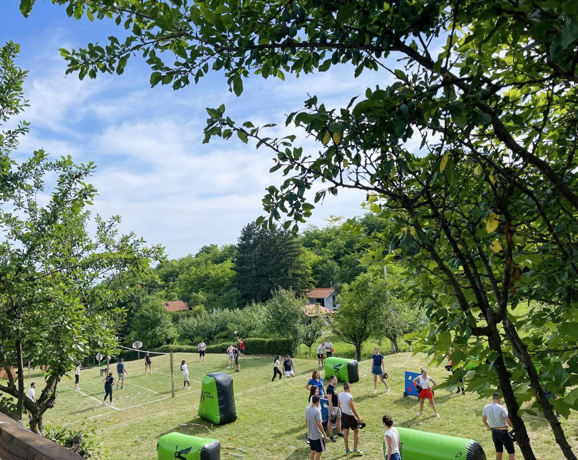 Vila Davidovic-Fruska Gora Mandelos Exteriör bild