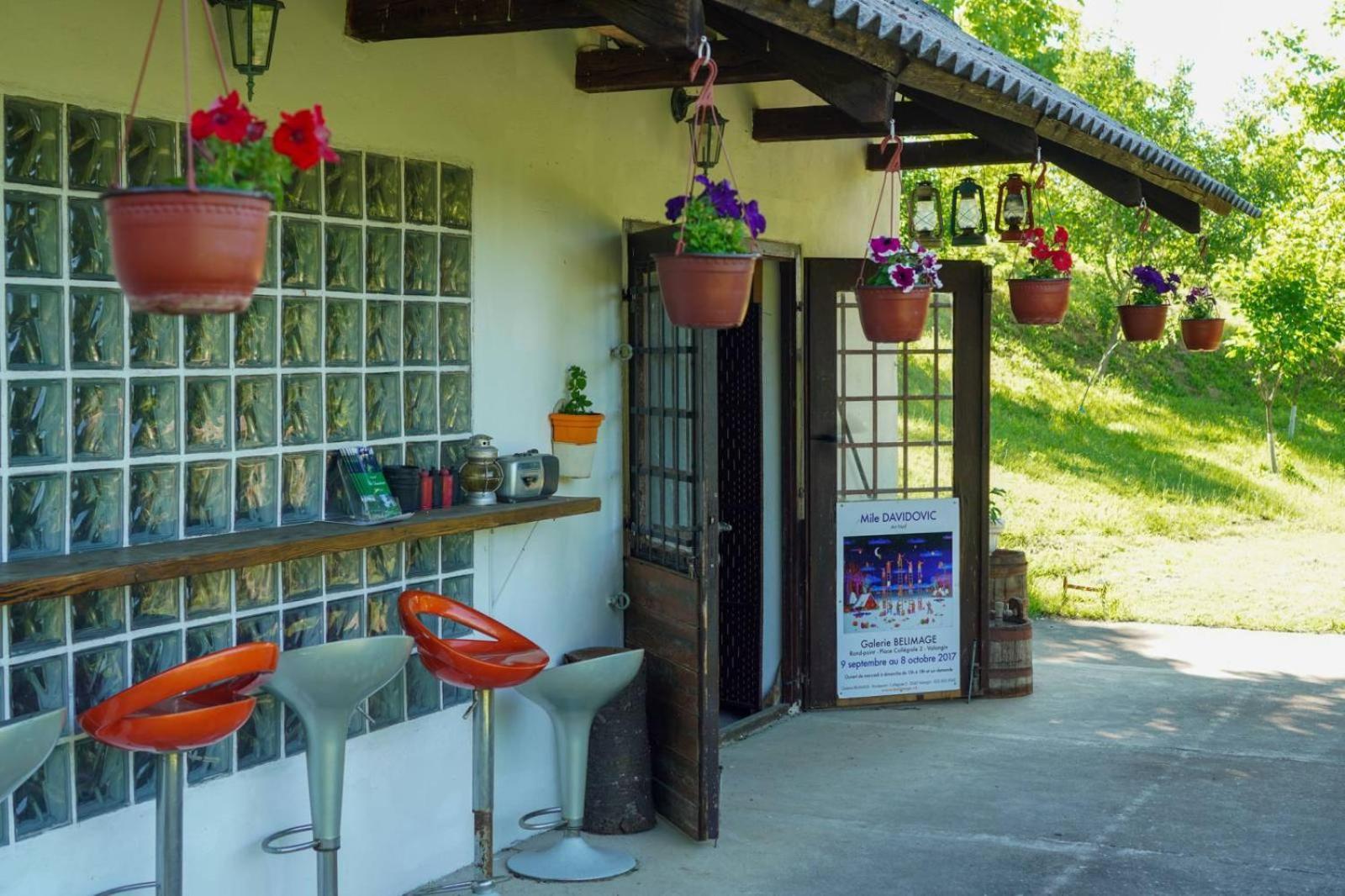 Vila Davidovic-Fruska Gora Mandelos Exteriör bild