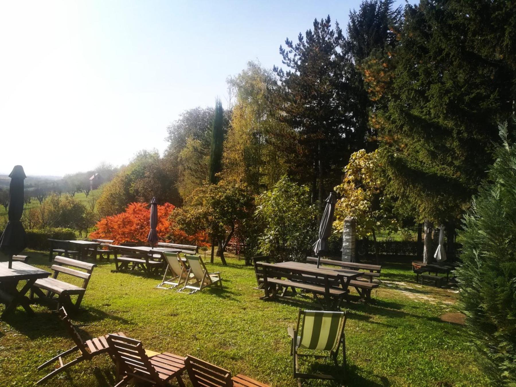 Vila Davidovic-Fruska Gora Mandelos Exteriör bild