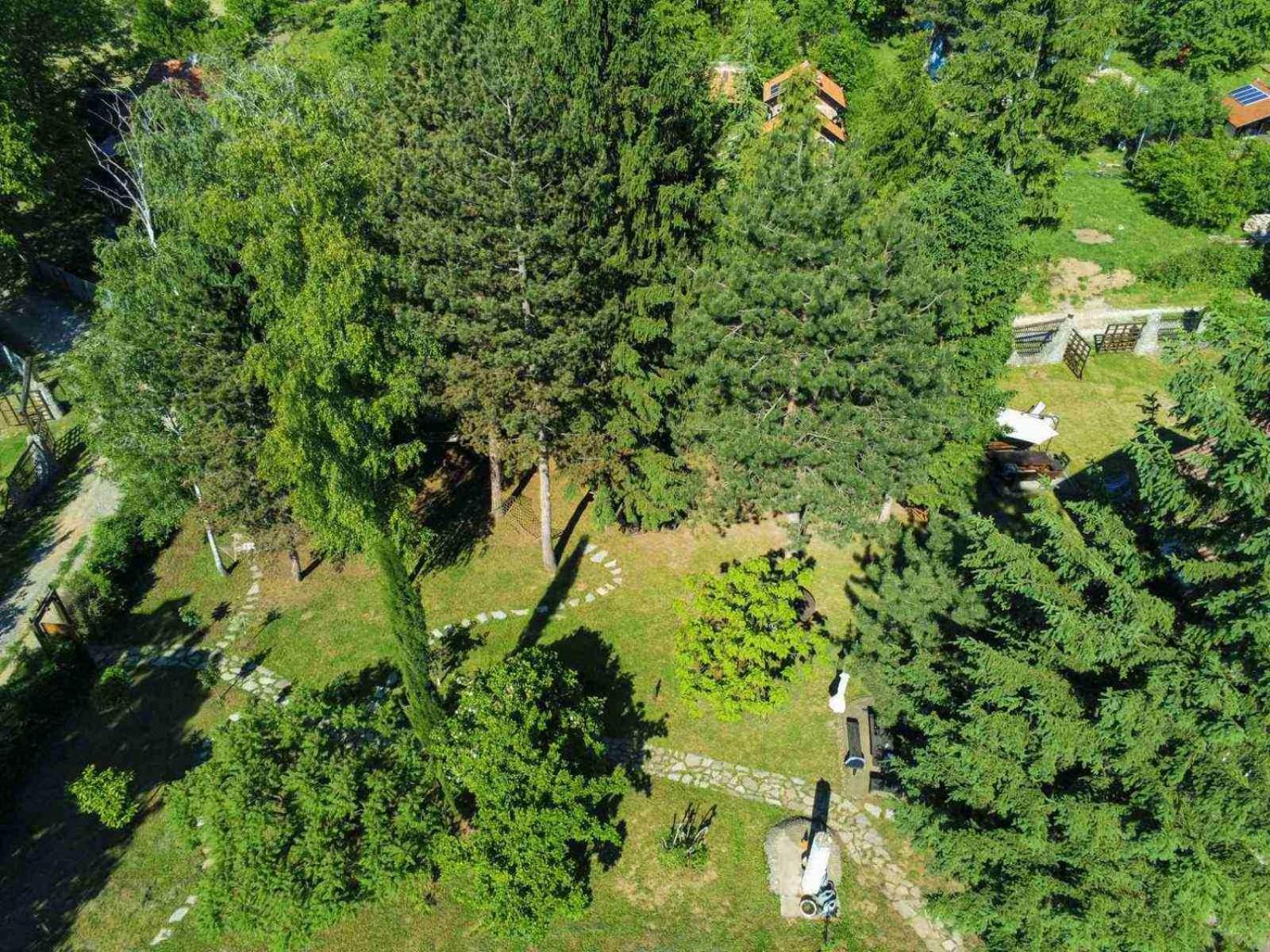 Vila Davidovic-Fruska Gora Mandelos Exteriör bild