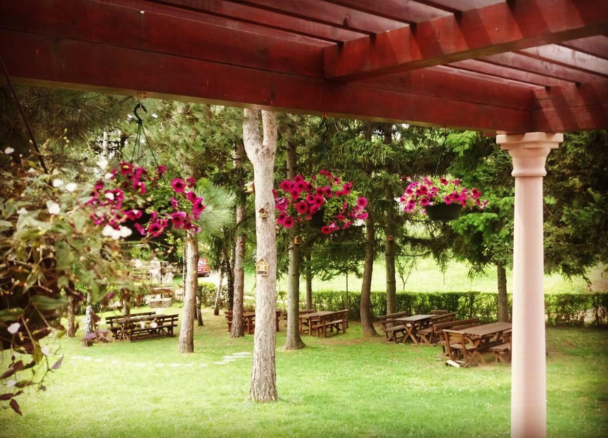 Vila Davidovic-Fruska Gora Mandelos Exteriör bild