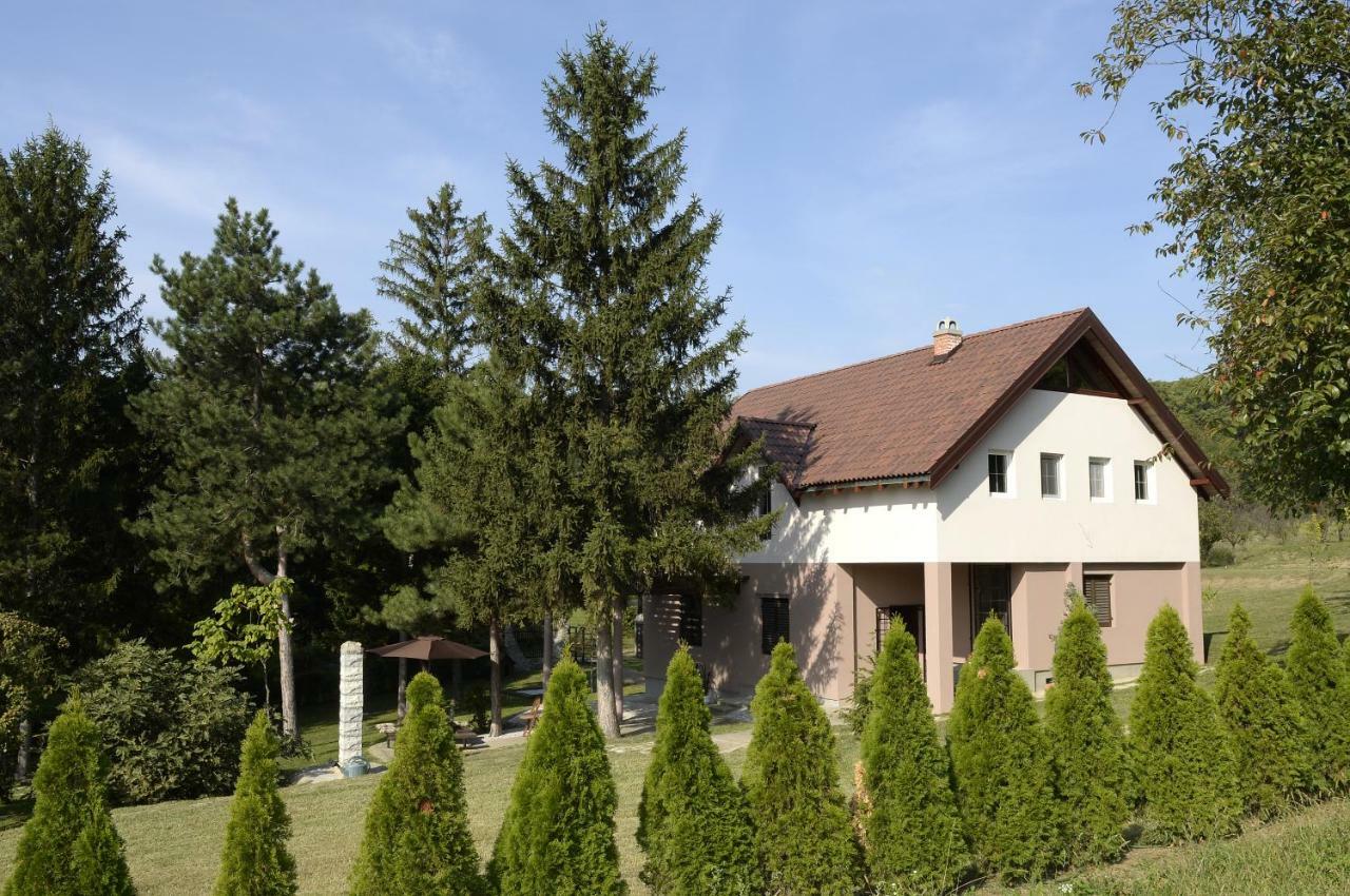 Vila Davidovic-Fruska Gora Mandelos Exteriör bild