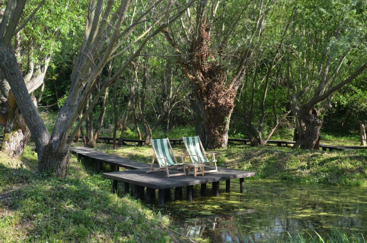 Vila Davidovic-Fruska Gora Mandelos Exteriör bild