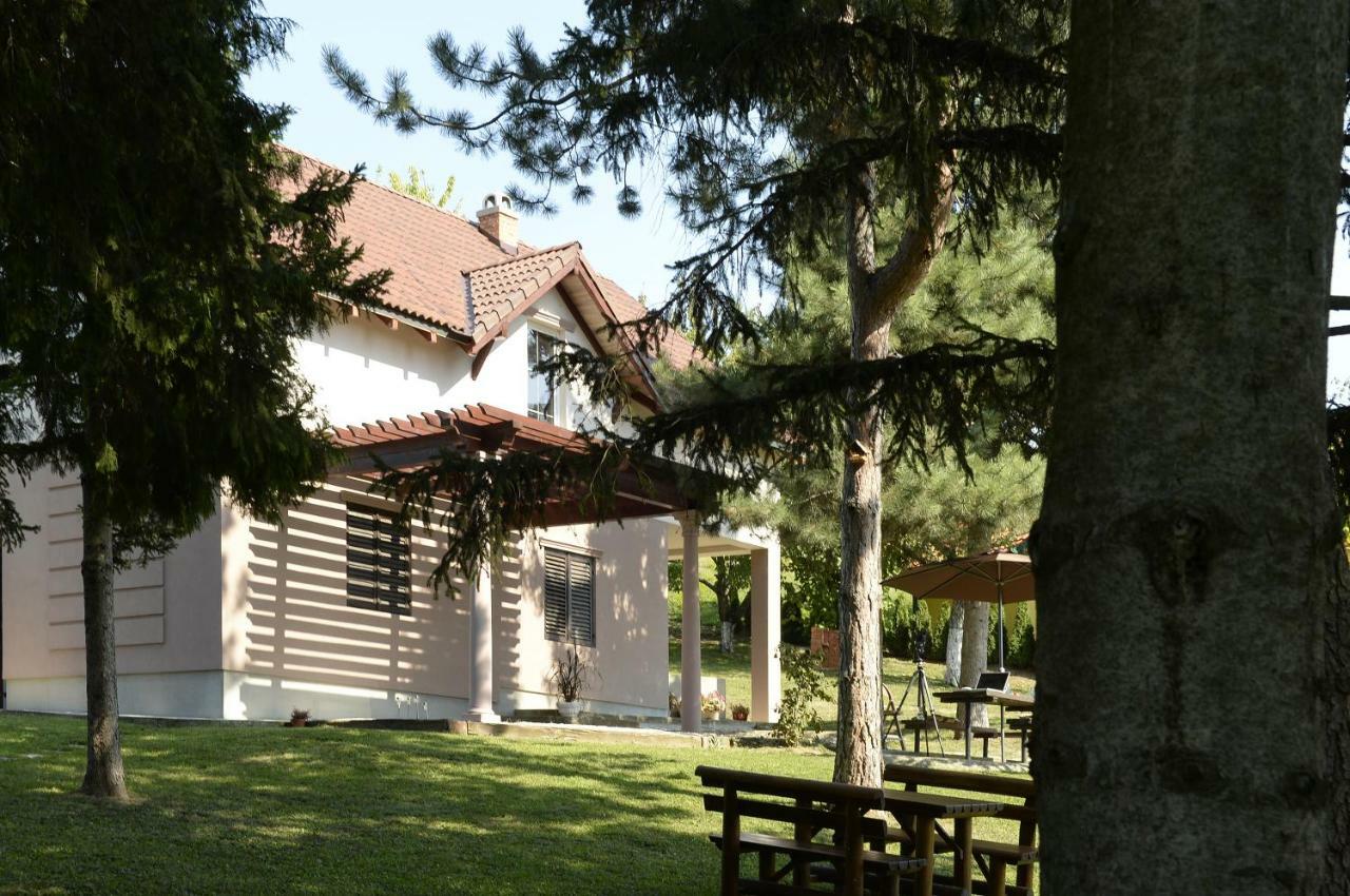 Vila Davidovic-Fruska Gora Mandelos Exteriör bild