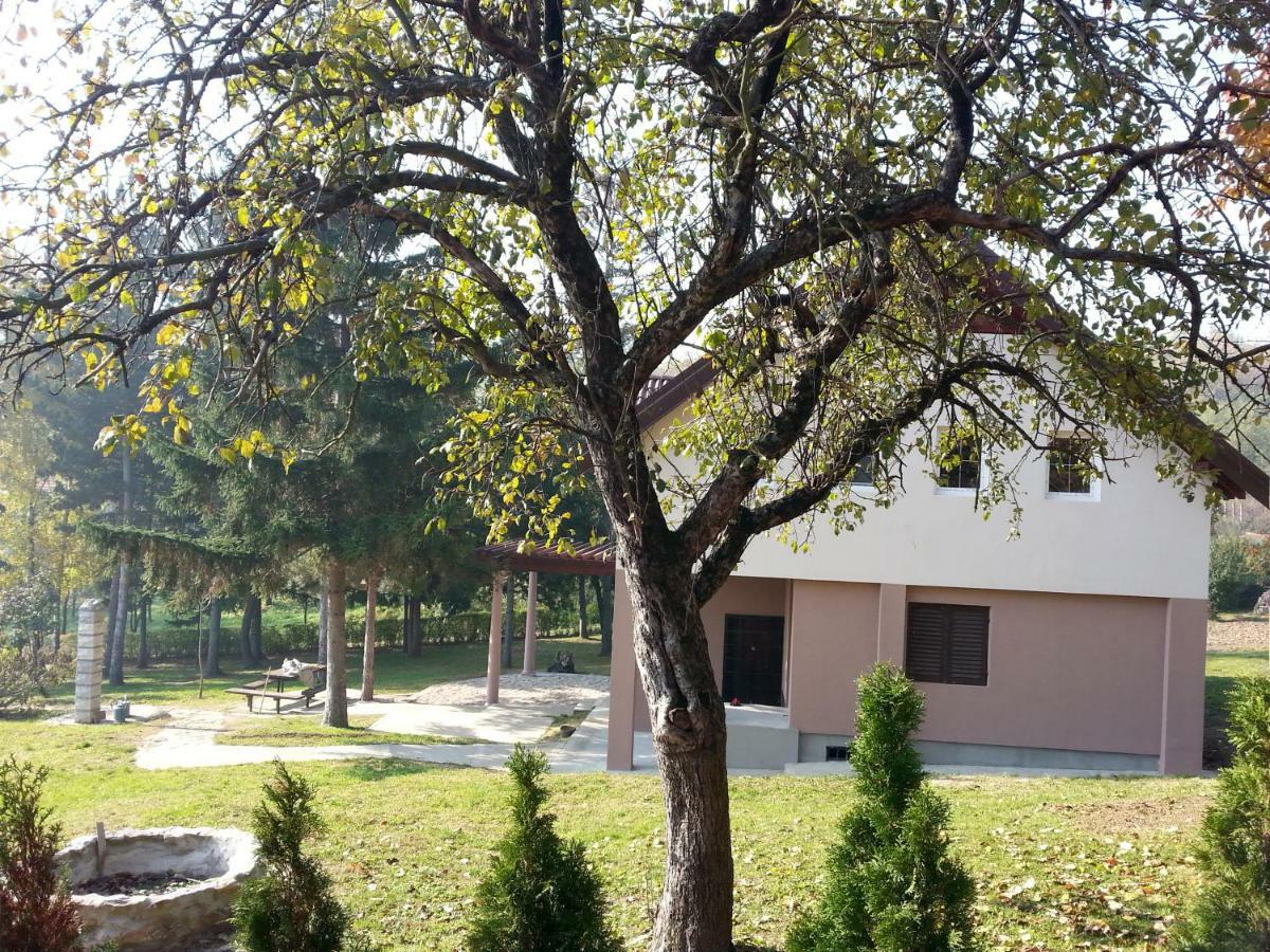 Vila Davidovic-Fruska Gora Mandelos Exteriör bild