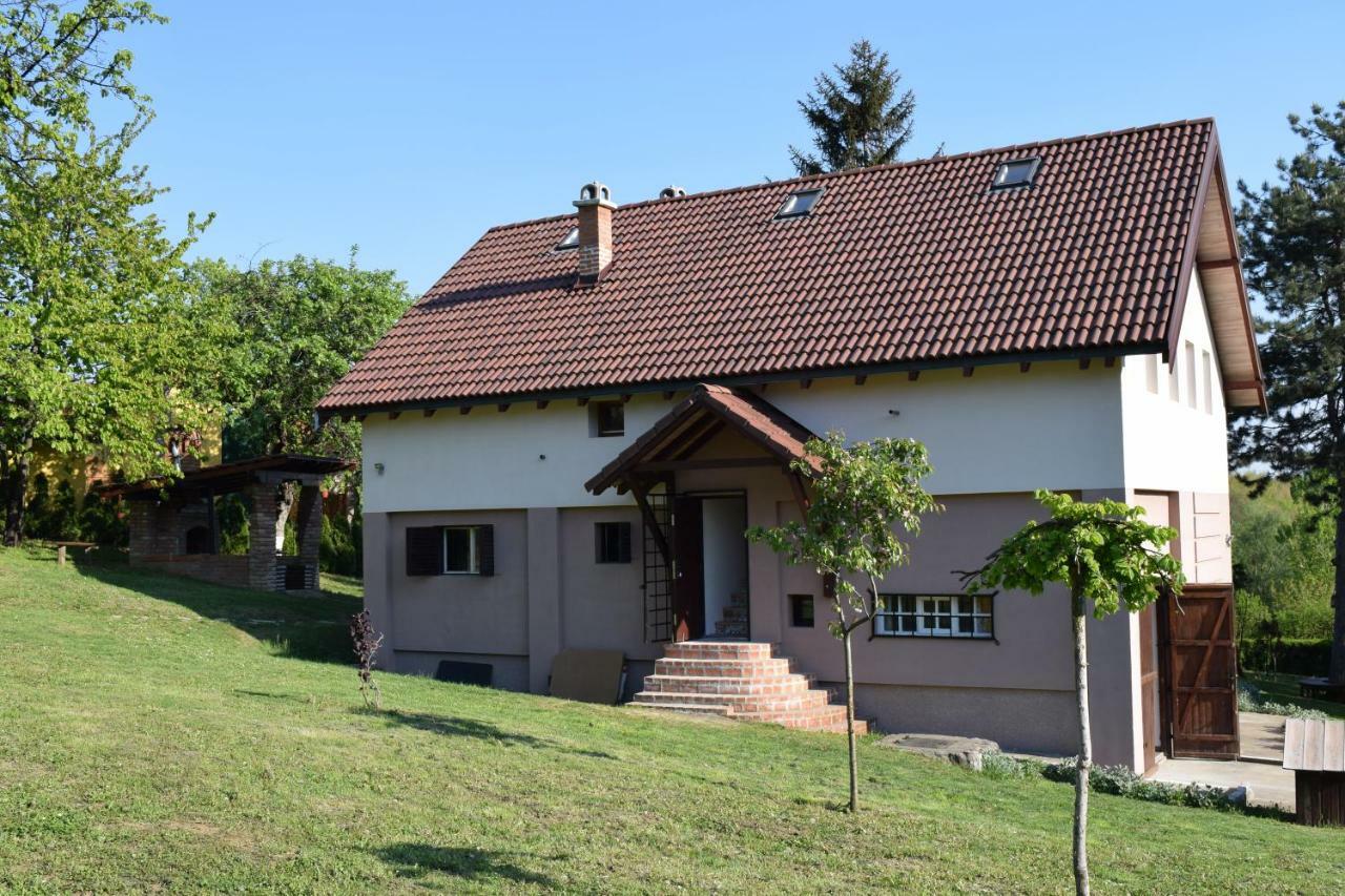 Vila Davidovic-Fruska Gora Mandelos Exteriör bild